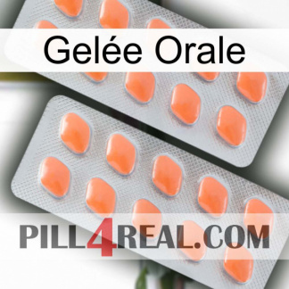 Gelée Orale 27